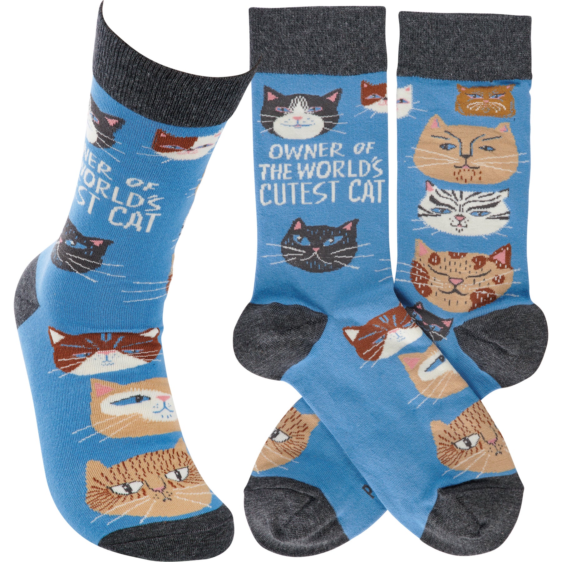 Primitives 115100 Owner Of World's Cutest Cat Unisex Socks