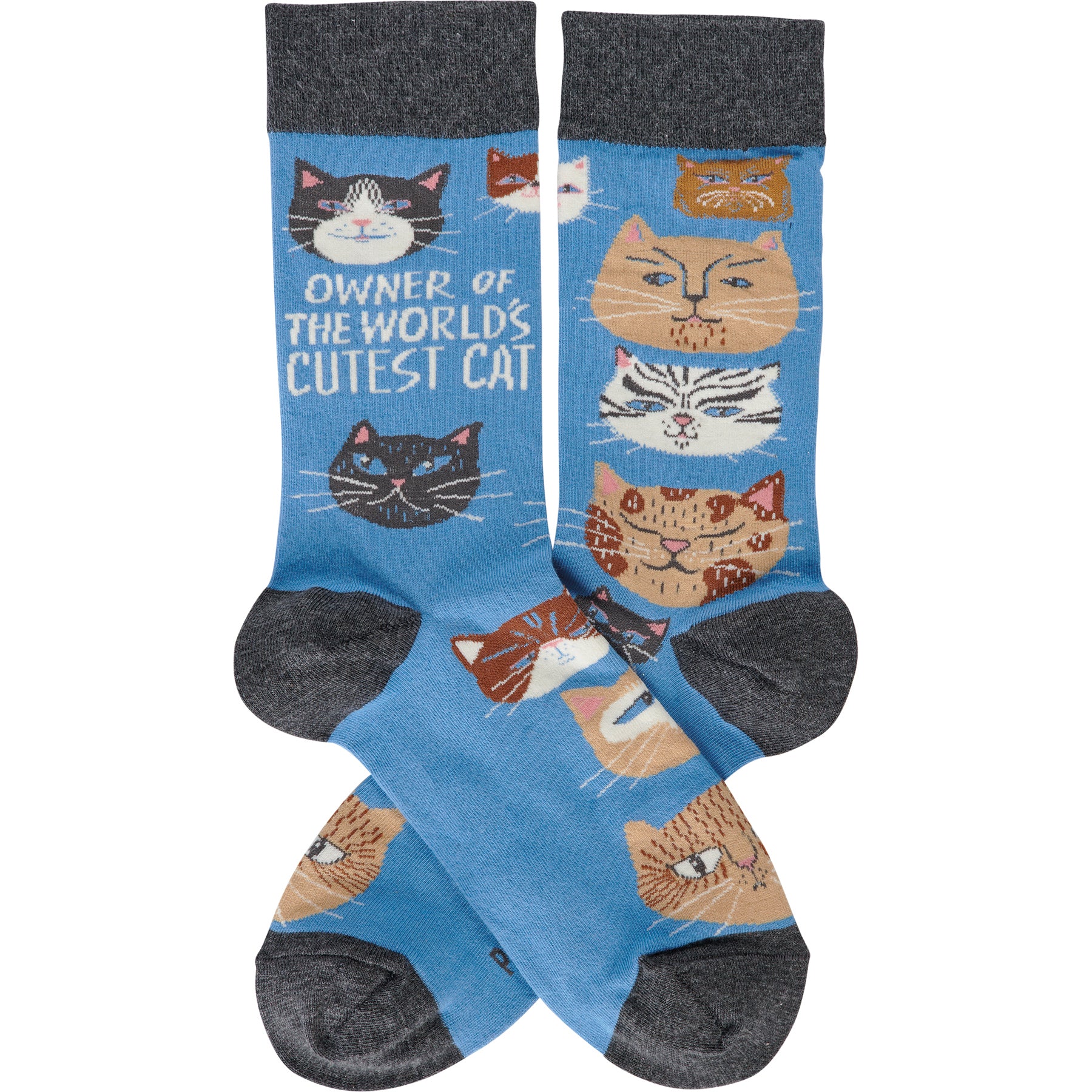 Primitives 115100 Owner Of World's Cutest Cat Unisex Socks