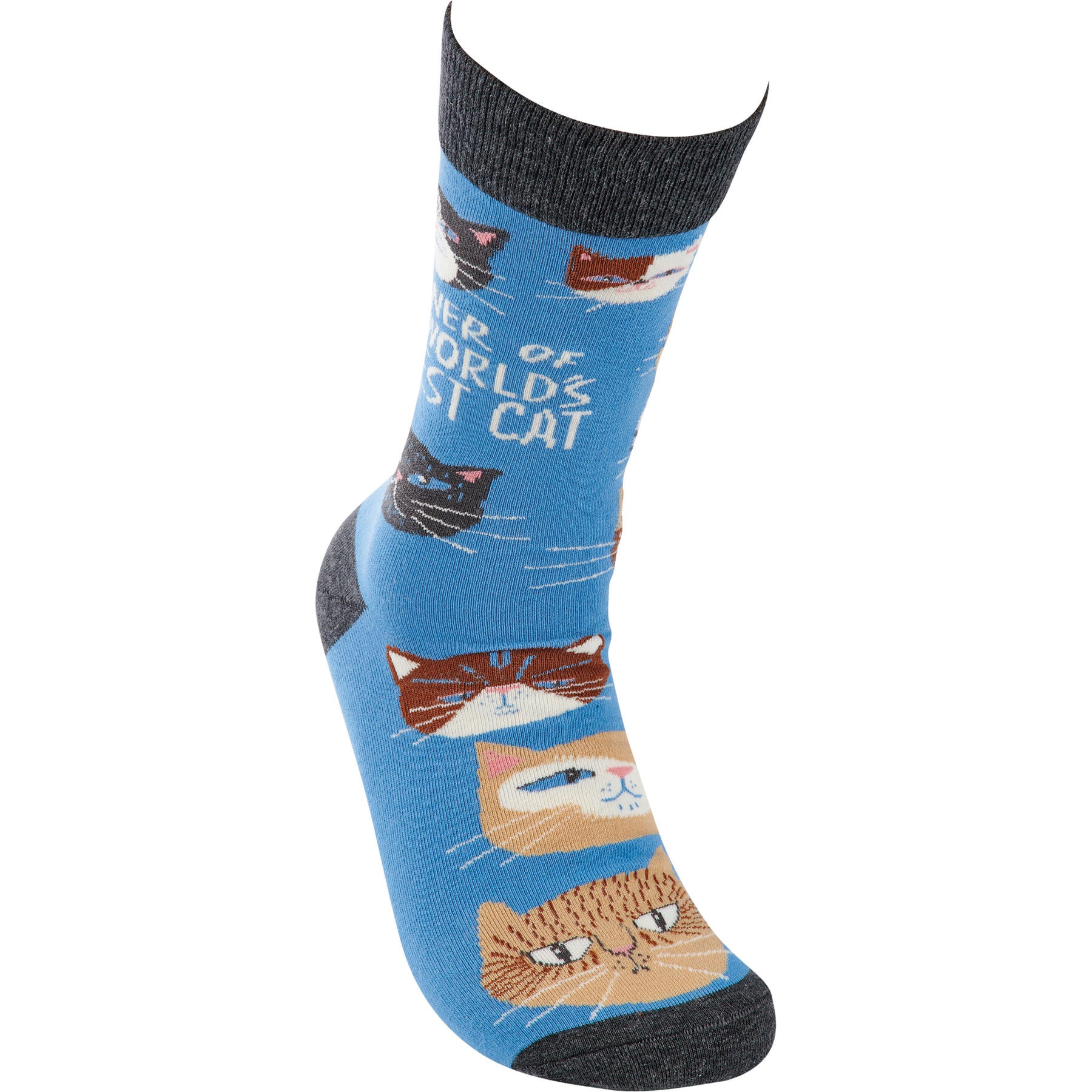 Primitives 115100 Owner Of World's Cutest Cat Unisex Socks