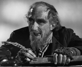 Windhorse Trading 8127BN BROWN Tulip Embroidered Cotton Hand Warmer Fingerless Gloves