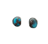 Randall Pipkorn R10 Bisbee Turquoise Oval Post Earrings