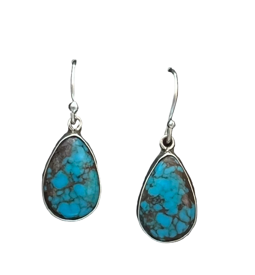 Randall Pipkorn R15 Bisbee Turquoise Sterling Silver Oval Drop Earrings