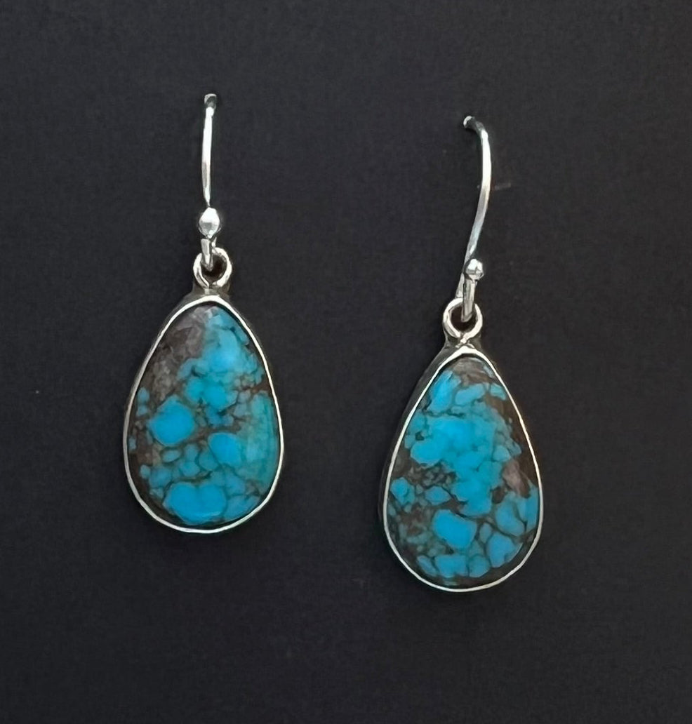 Randall Pipkorn R15 Bisbee Turquoise Sterling Silver Oval Drop Earrings