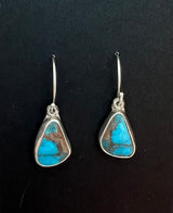 Randall Pipkorn R-67 Abstract Triangle Turquoise Tear Drop Earrings