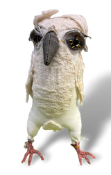 Leonor Pisano WOGB White Owl With Grey Beak & Eyes & Orange Feet Handmade Fabric Sculpture