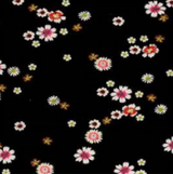 Salaam KSI22-2017 DAISY Flippy Skirt