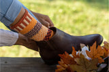 Solmate Socks PUMPKIN PIE Upcycled Cotton Poly Blend Crew Socks